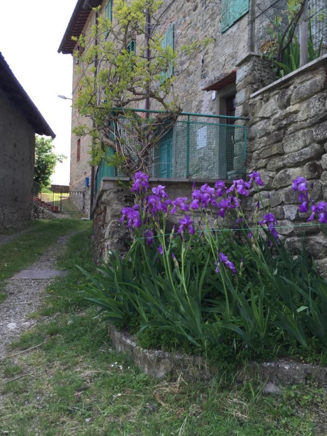 Appartamento Castello di Urbech Pratovecchio Stia Esterno foto