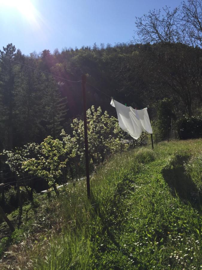 Appartamento Castello di Urbech Pratovecchio Stia Esterno foto