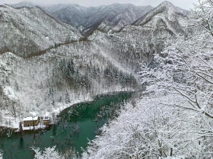 Appartamento Castello di Urbech Pratovecchio Stia Esterno foto
