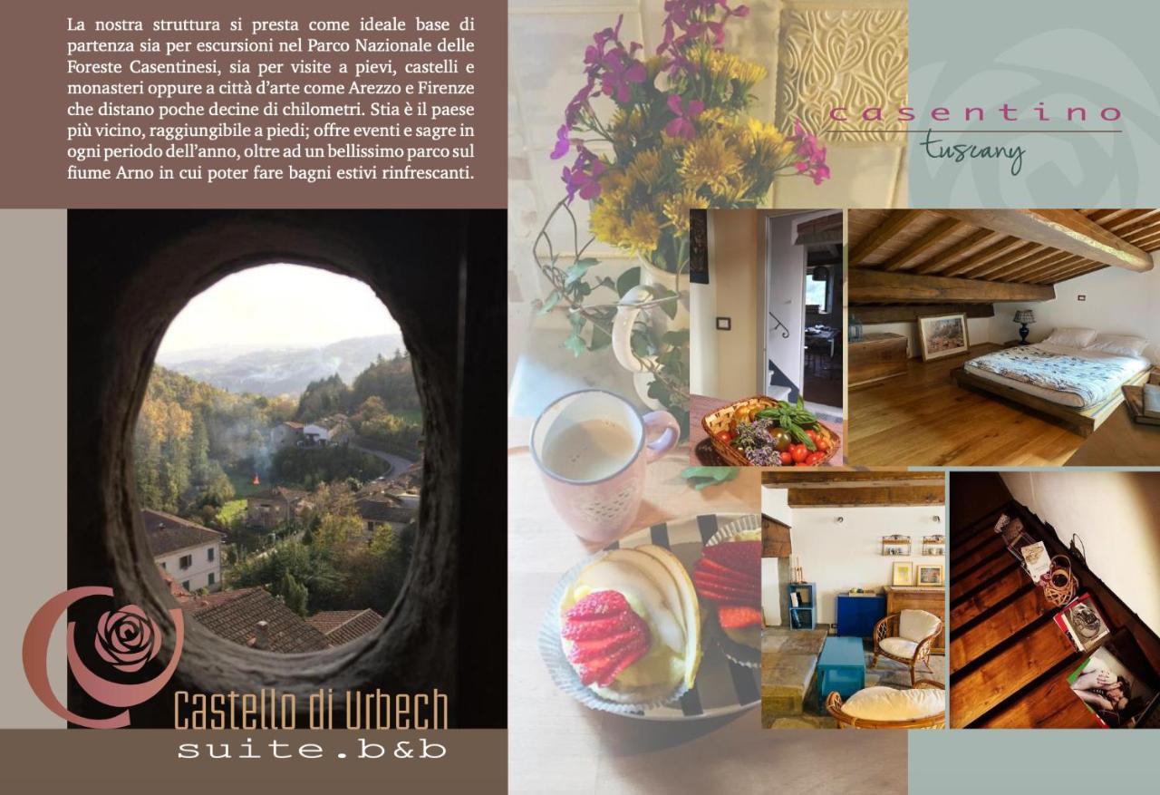 Appartamento Castello di Urbech Pratovecchio Stia Esterno foto